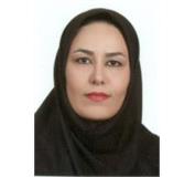 معاون آموزشی دانشکده دندانپزشکی معرفی گردید