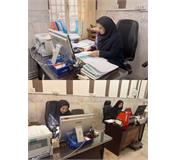 برقراری واحد درآمد و بیمه‌گری