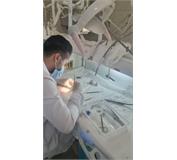 آزمون صلاحیت بالینی دانشجویان